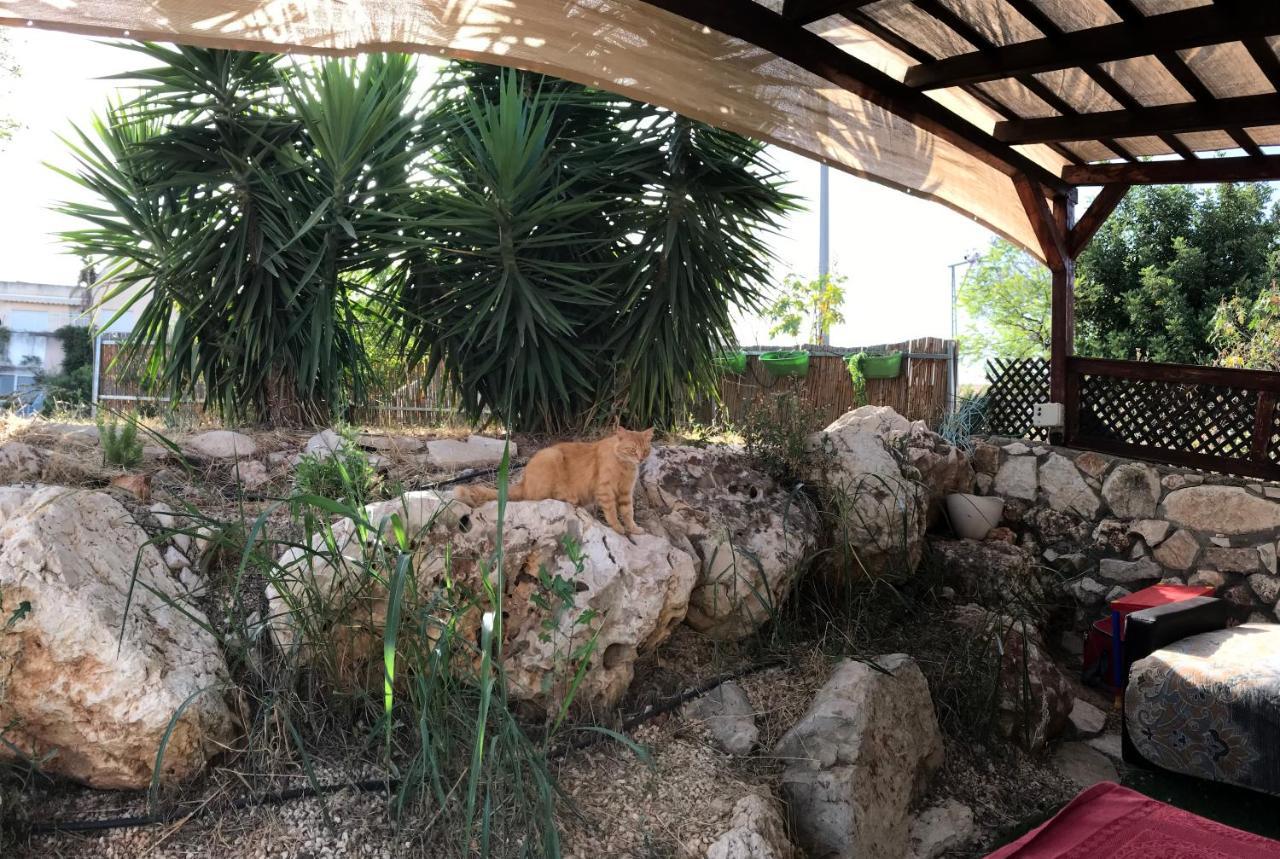 Panorama Kinneret נוף כנרת, צפת Esterno foto